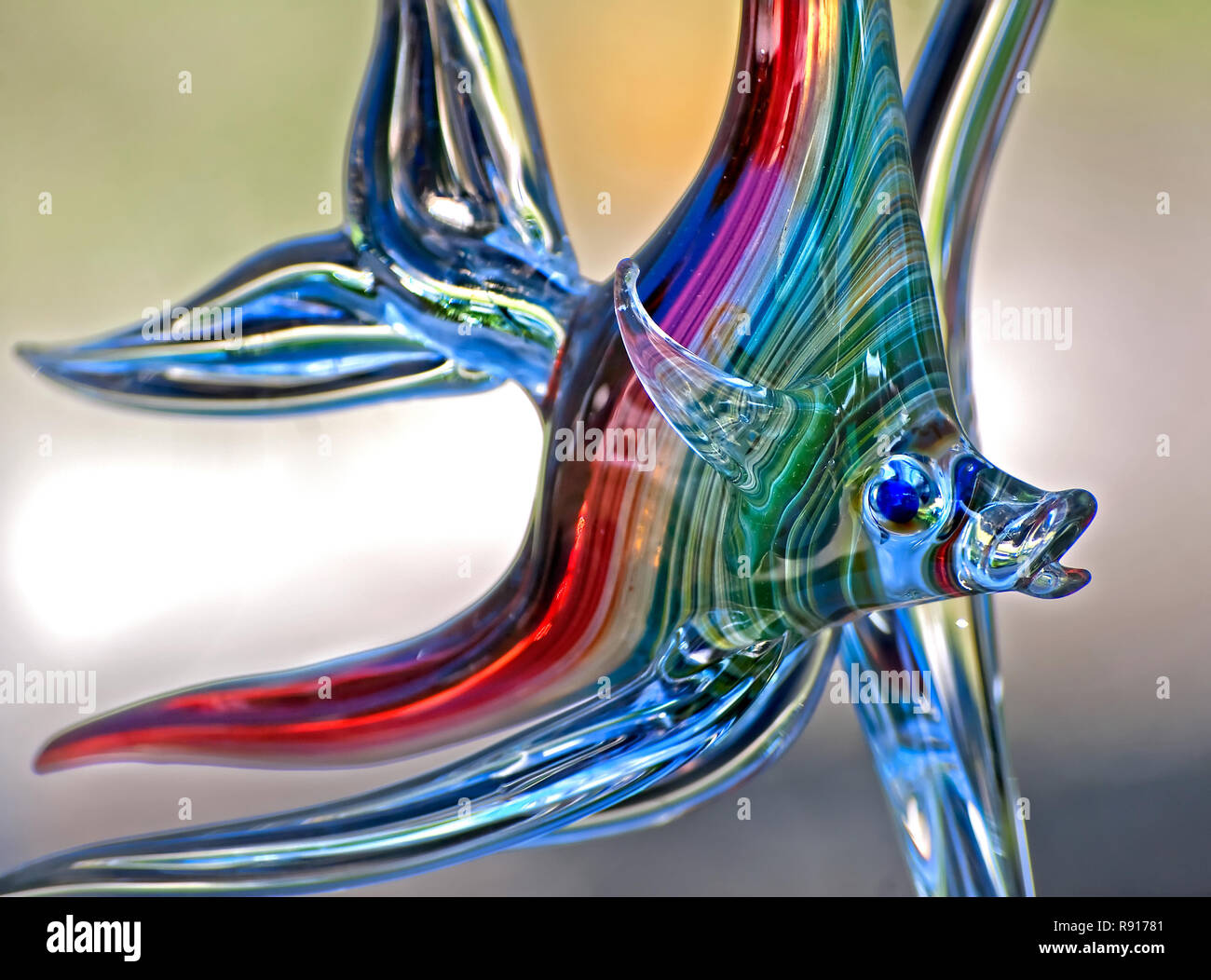 A glass angelfish, created by artist Jill Elkins, is displayed at the Mary C. O'Keefe Cultural Center in Ocean Springs, Mississippi. Stock Photo