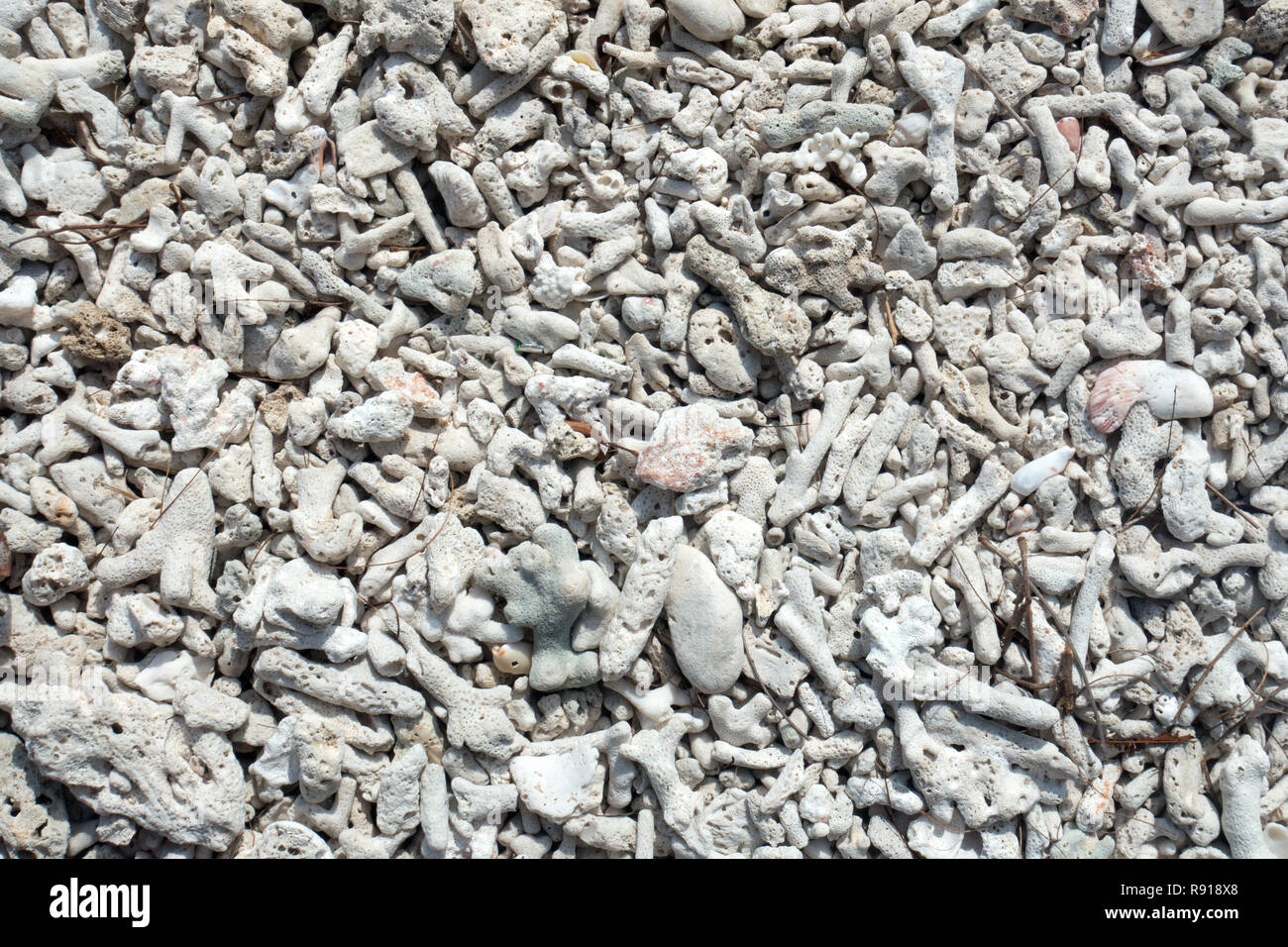 The beach of Gili Nanggu in Lombok is scattered with broken and dead corals. Stock Photo