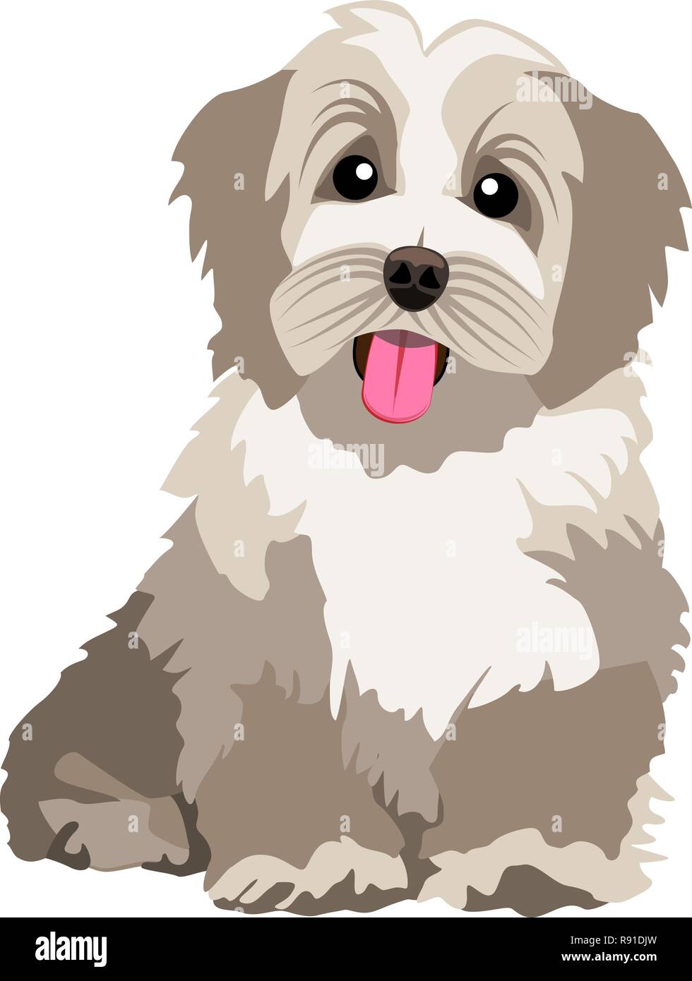 Coton De Tulear puppy vector Stock Vector Image & Art Alamy