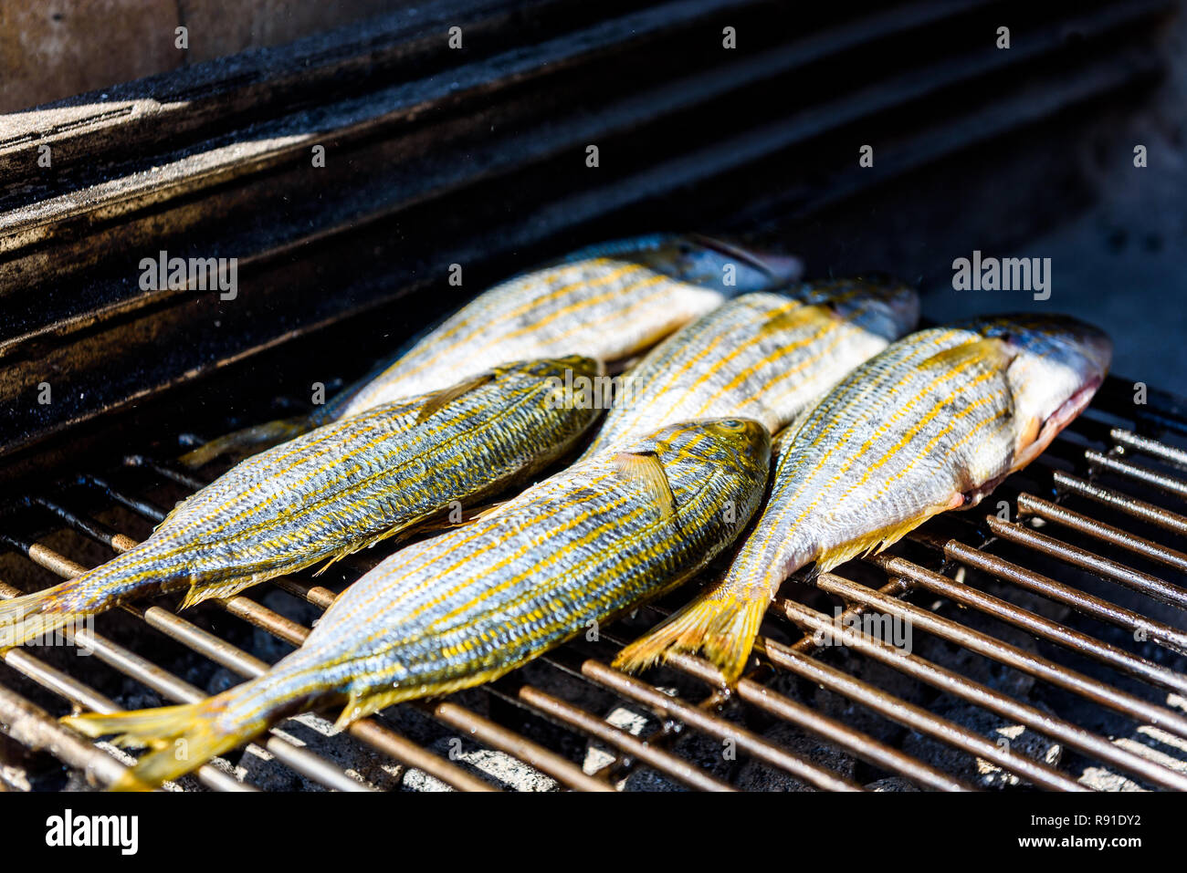 Grilling fish on a bbq barbecue grill over hot coal. Preparing and