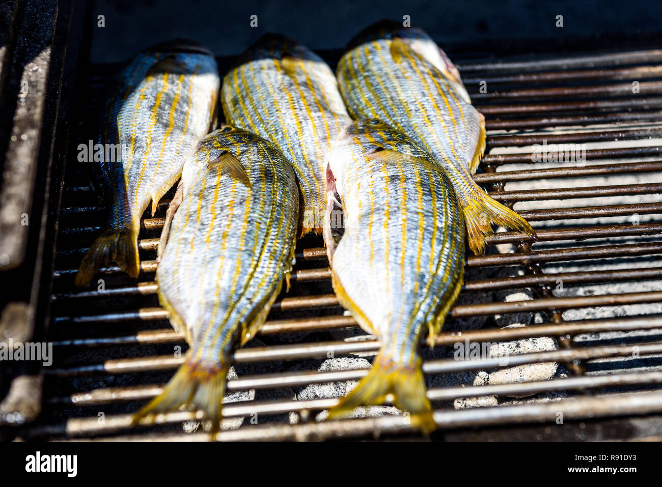 Grilling fish on a bbq barbecue grill over hot coal. Preparing and