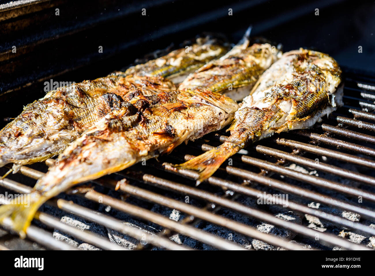 Grilling fish on a bbq barbecue grill over hot coal. Preparing and