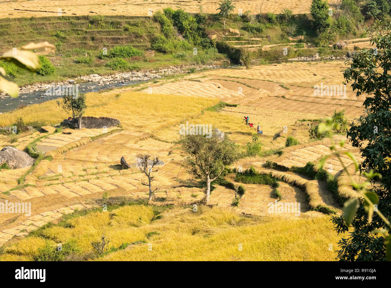 The fertile river valley of the Budhi Gandaki is followed on the first