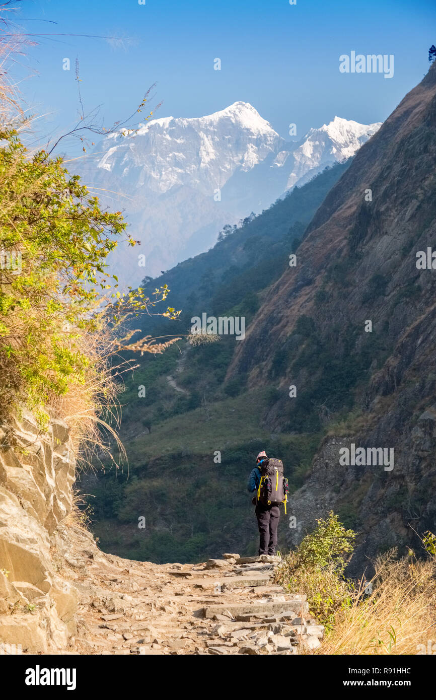 Trekker in the Budhi Gandaki valley on the Manaslu Circuit trek, Nepal Himalayas Stock Photo