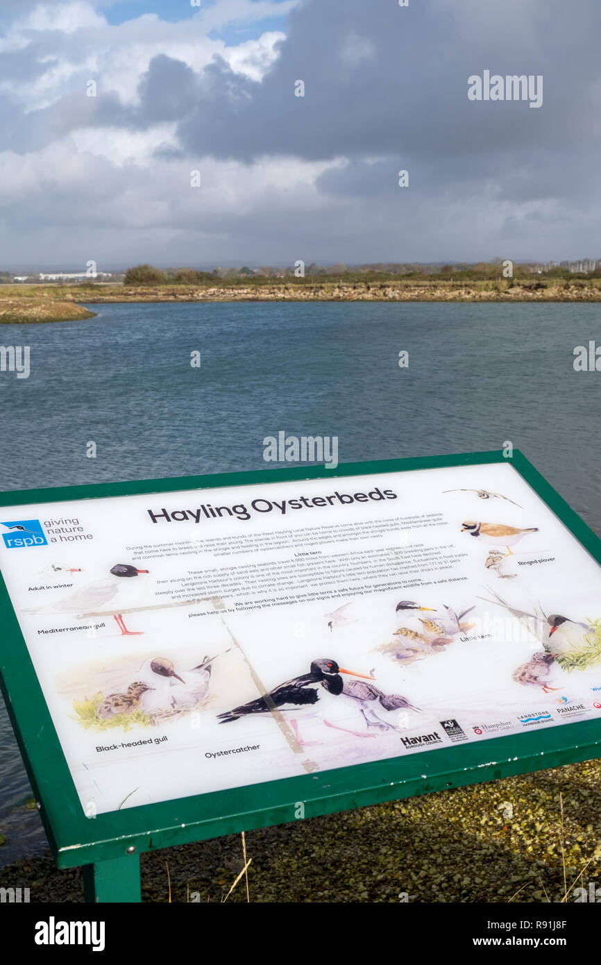 Oyster beds uk hires stock photography and images Alamy