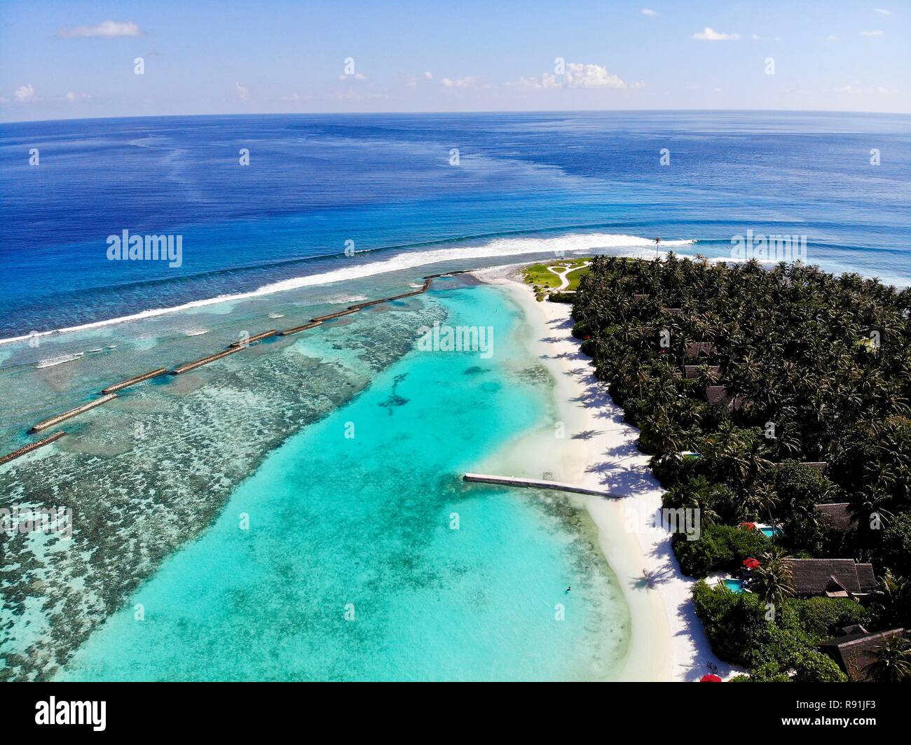 Reef Maldives Stock Photo