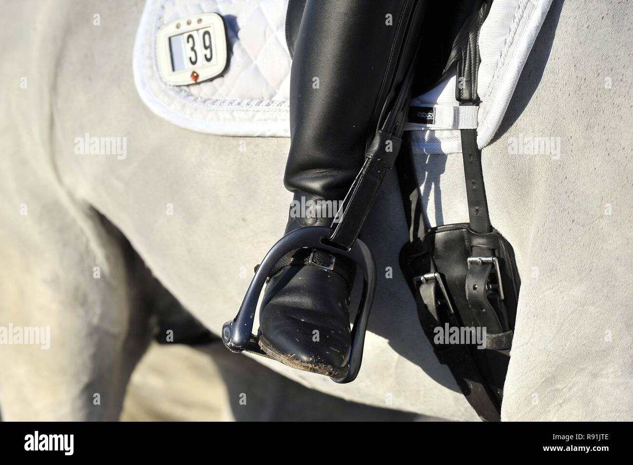 grey horse riding boots