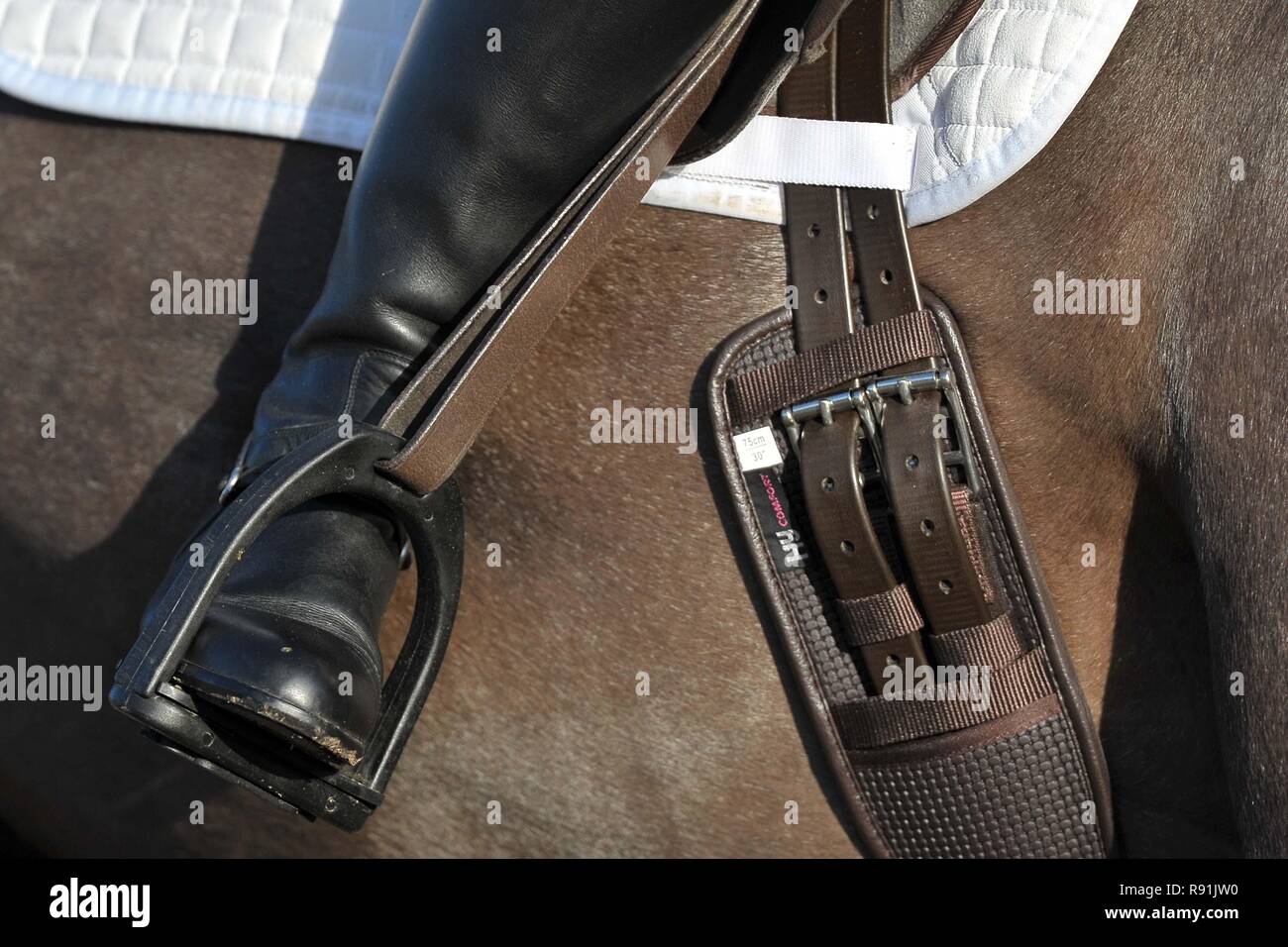 Chestnut Horse White Numnah Black Riding Boots Brown Hy Comfort