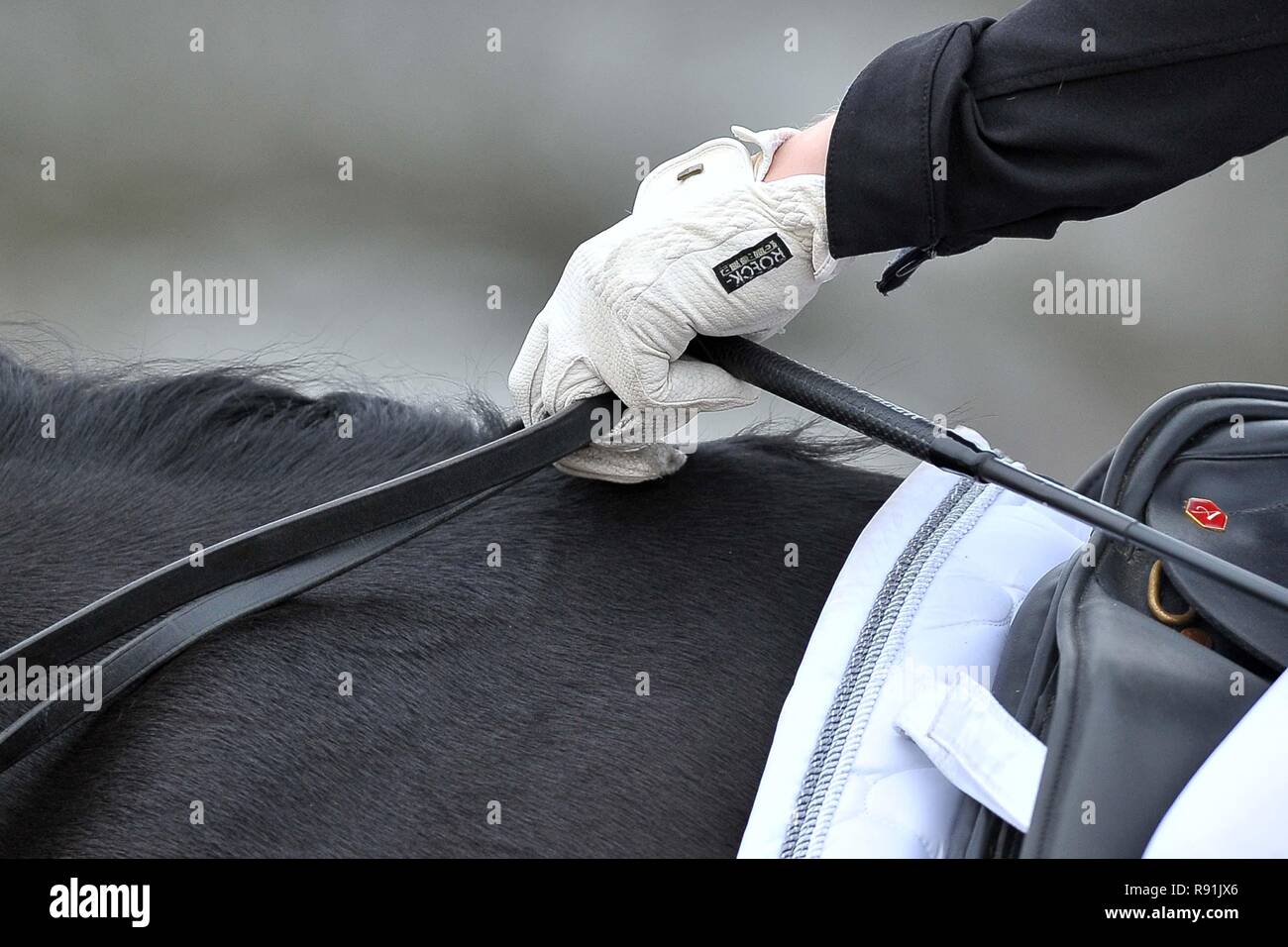 Chestnut dressage horse. White Roeckl gloves. reins. Black whip and