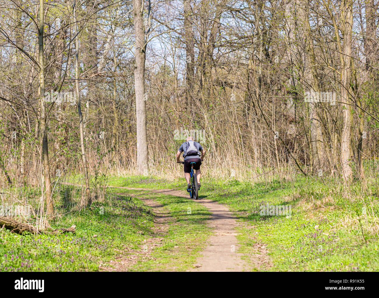 Man cyclist riding the bike on the trail in spring sunny forest. Back view. Healthy lifestyle and travel concept. Space for text Stock Photo