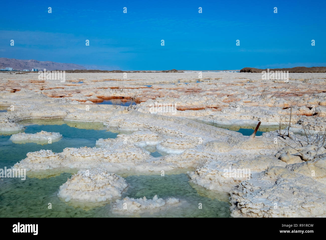 Israel, Dead Sea, salt crystalization caused by water evaporation Stock Photo