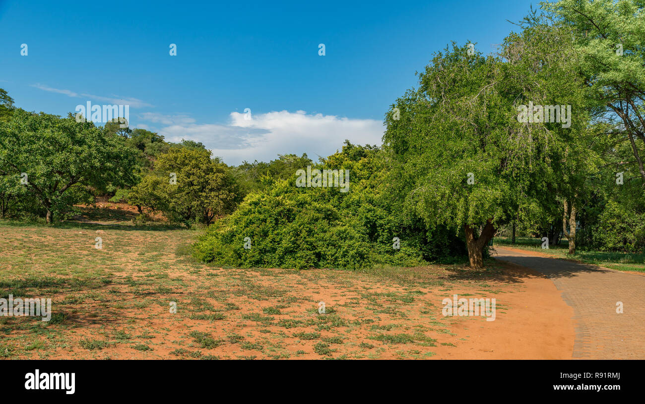 National Botanical garden in Pretoria, South Africa. It contains plants