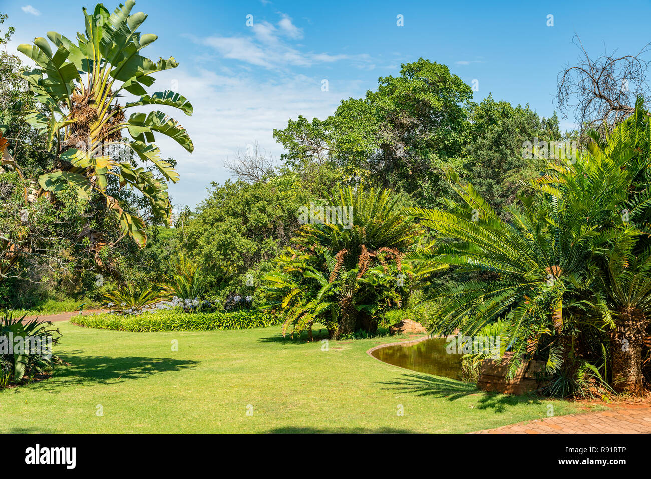 National Botanical garden in Pretoria, South Africa. It contains plants