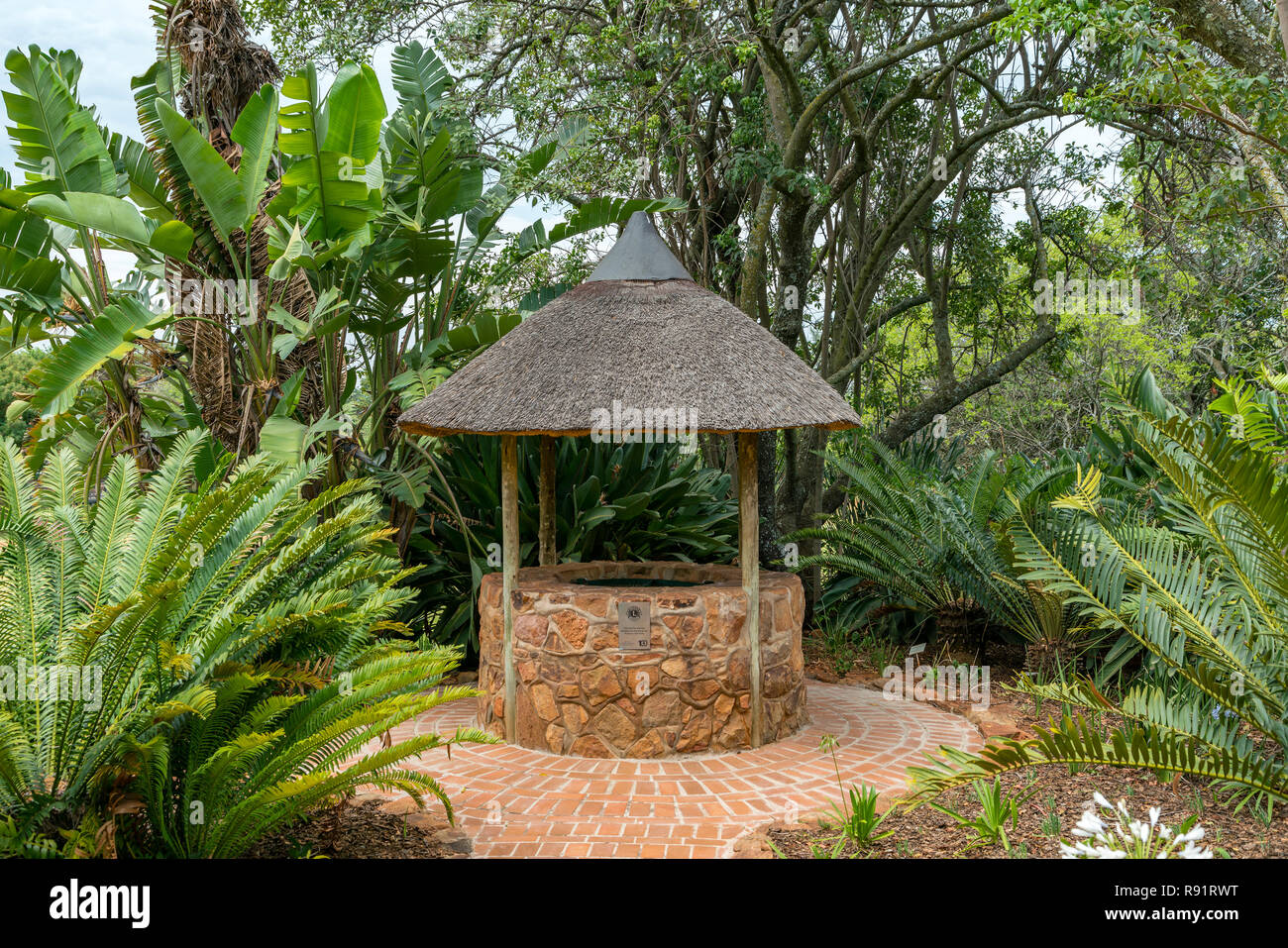 National Botanical garden in Pretoria, South Africa. It contains plants