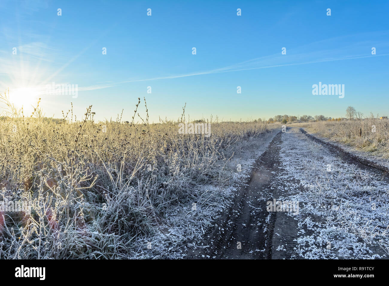 First frost, Frost In The Field, Frost On Plants, Frost On The Grass, Frost On The Leaves, Frost On The Meadow, Frost On The Trees, Road In Frost Stock Photo