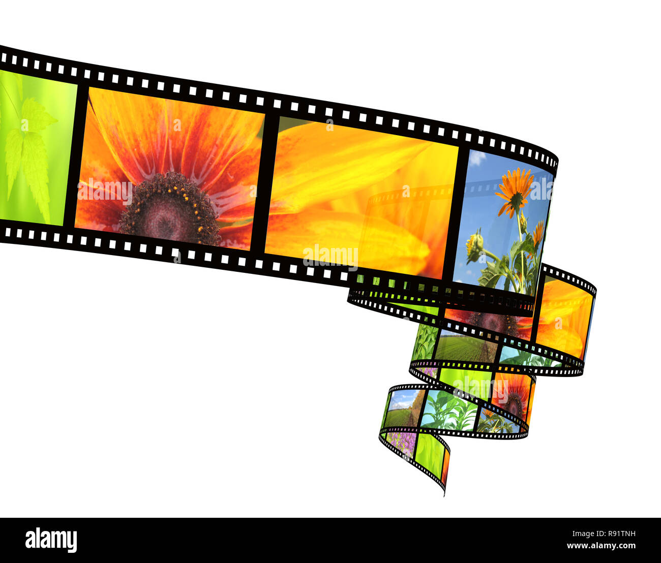 Background 3d abstract photographic film Stock Photo Alamy