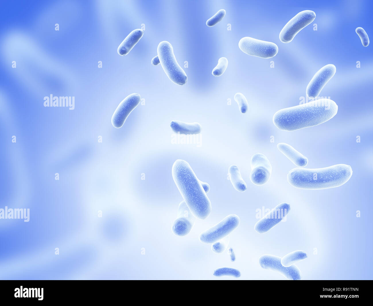 Harmful pathogen hi-res stock photography and images - Alamy