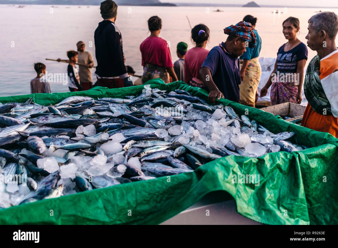 Group of people gathered around lots of fish at fish market, Kuta, Lombok, Indonesia Stock Photo