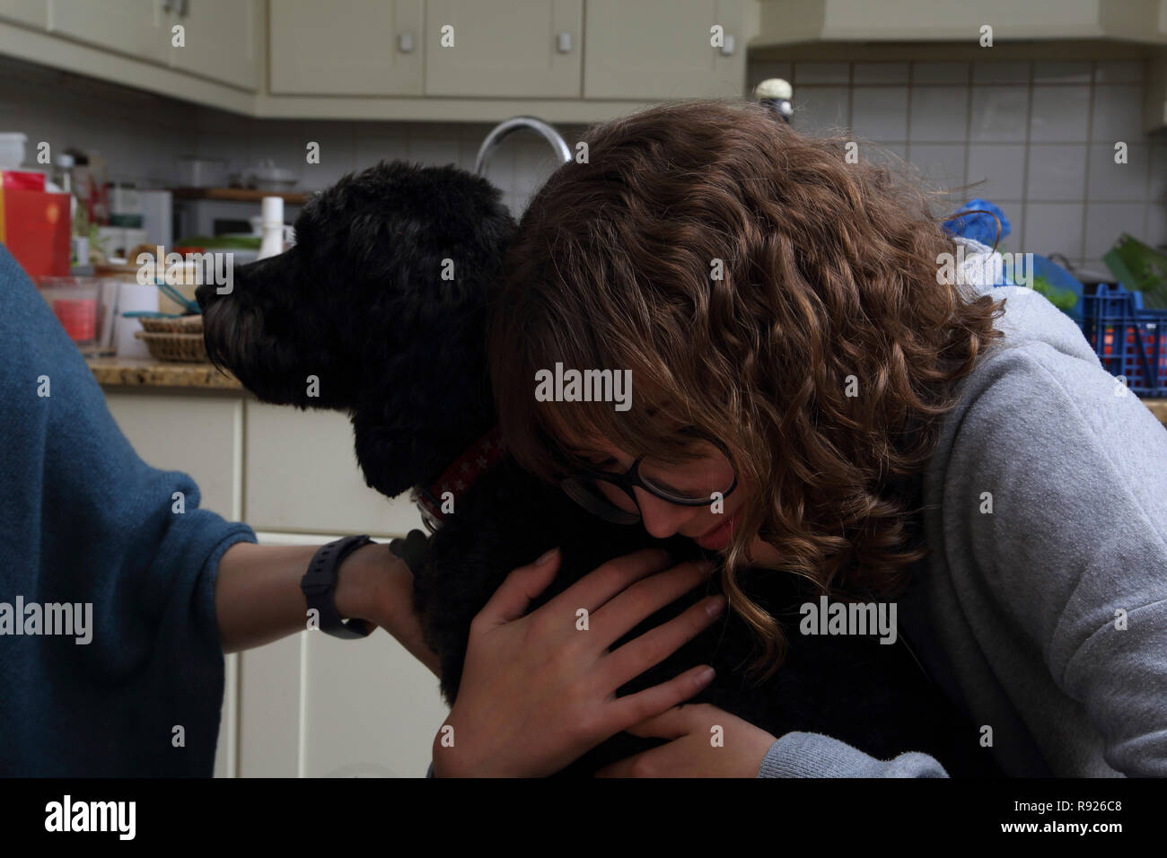 Girl with cockapoo dog hi-res stock photography and images - Alamy