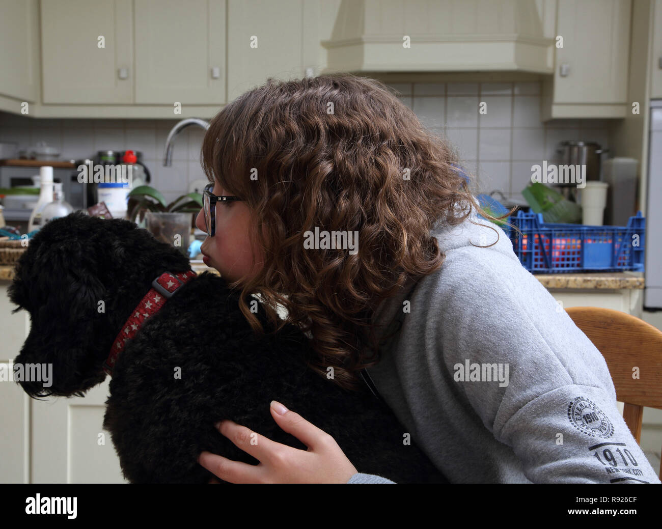 Twelve Year Old Girl Hugging and Kissing A Cockapoo Dog Surrey England Stock Photo