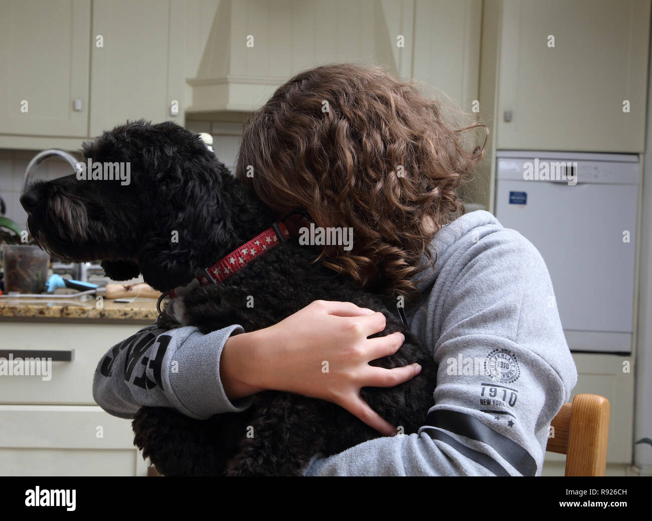Twelve Year Old Girl Hugging A Cockapoo Dog Surrey England Stock Photo ...