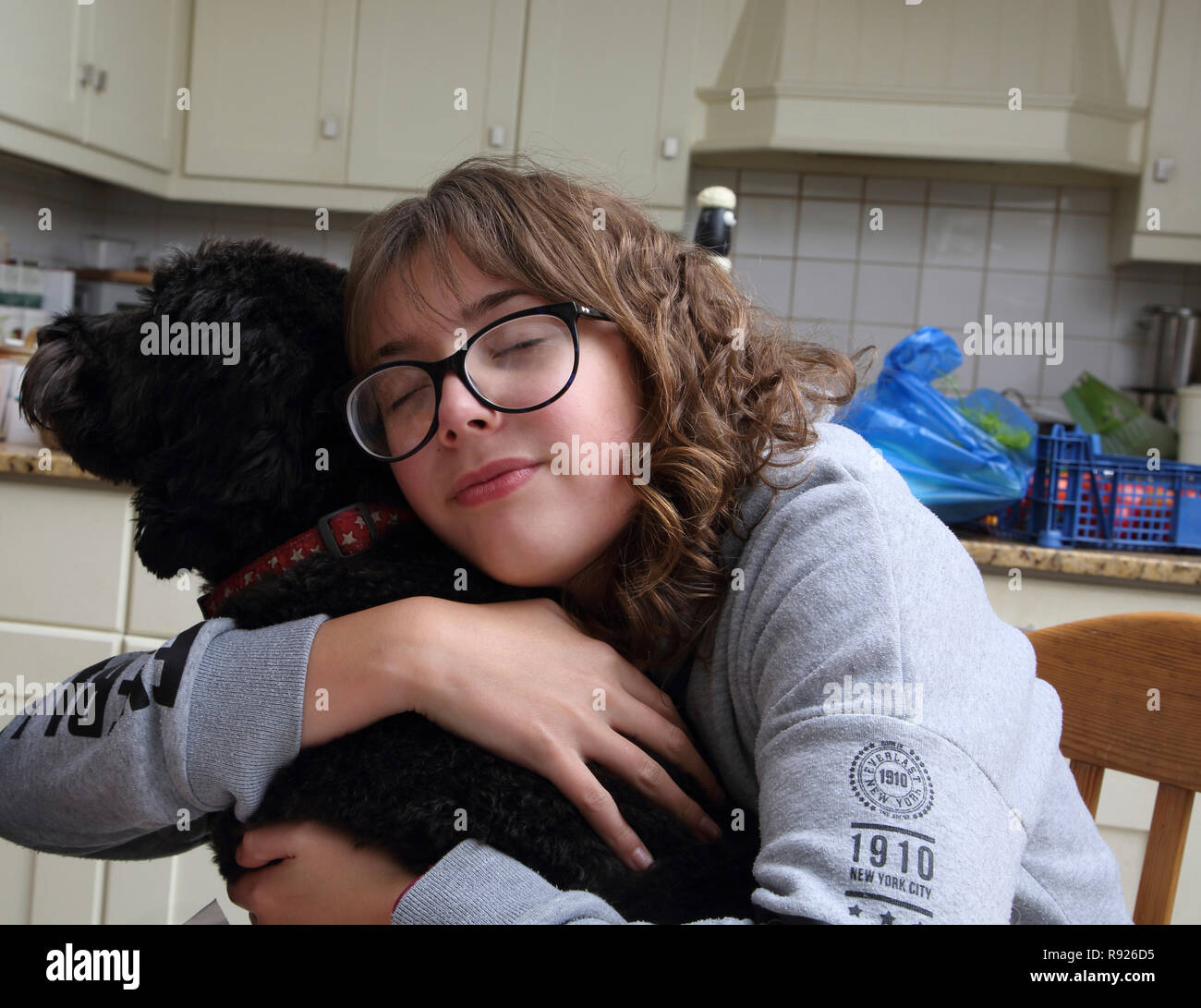 Twelve Year Old Girl Hugging A Cockapoo Dog Surrey England Stock Photo ...