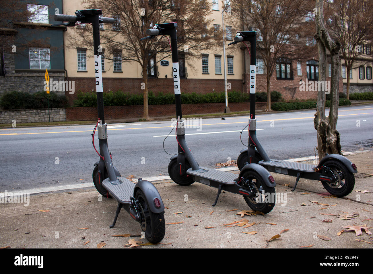 Bird Electric Scooters Stock Photo Alamy