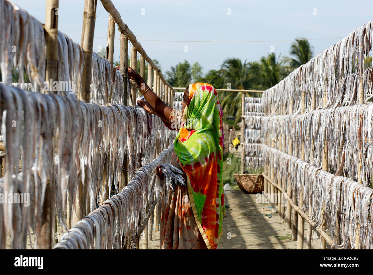 Workers processing fish to be dried at Nazirartek Dry Fish Plant in Cox