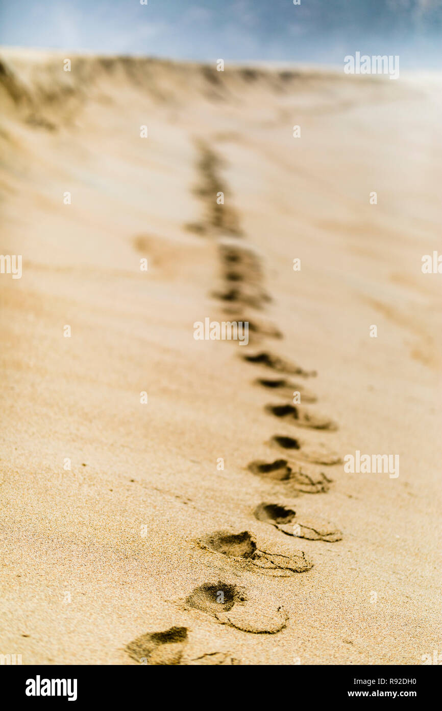Footprints over the beach sand going to the infinity creating shadows step by step trying to catch the infinite horizon at Tunquen Beach Stock Photo
