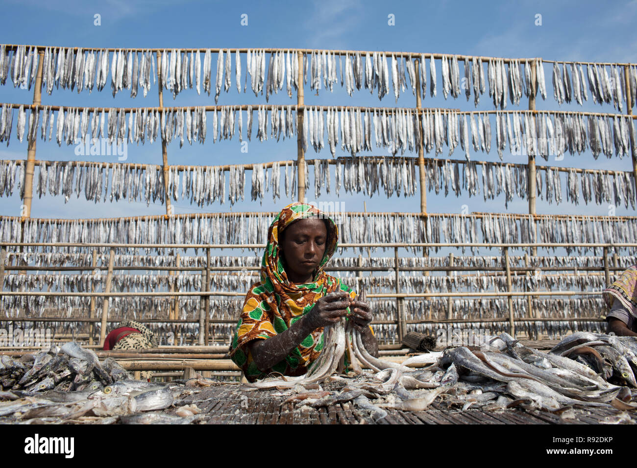 Workers processing fish to be dried at Nazirartek Dry Fish Plant in Cox