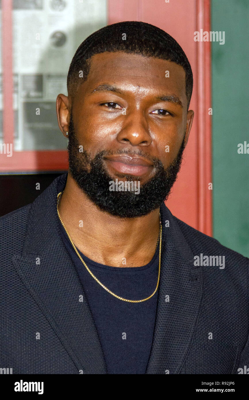 New York, USA. 17th Dec, 2018. Actor Trevante Rhodes attends the Netflix special screening of 'Bird Box' at Alice Tully Hall in New York City on December 17, 2018. Credit: Jeremy Burke/Alamy Live News Stock Photo