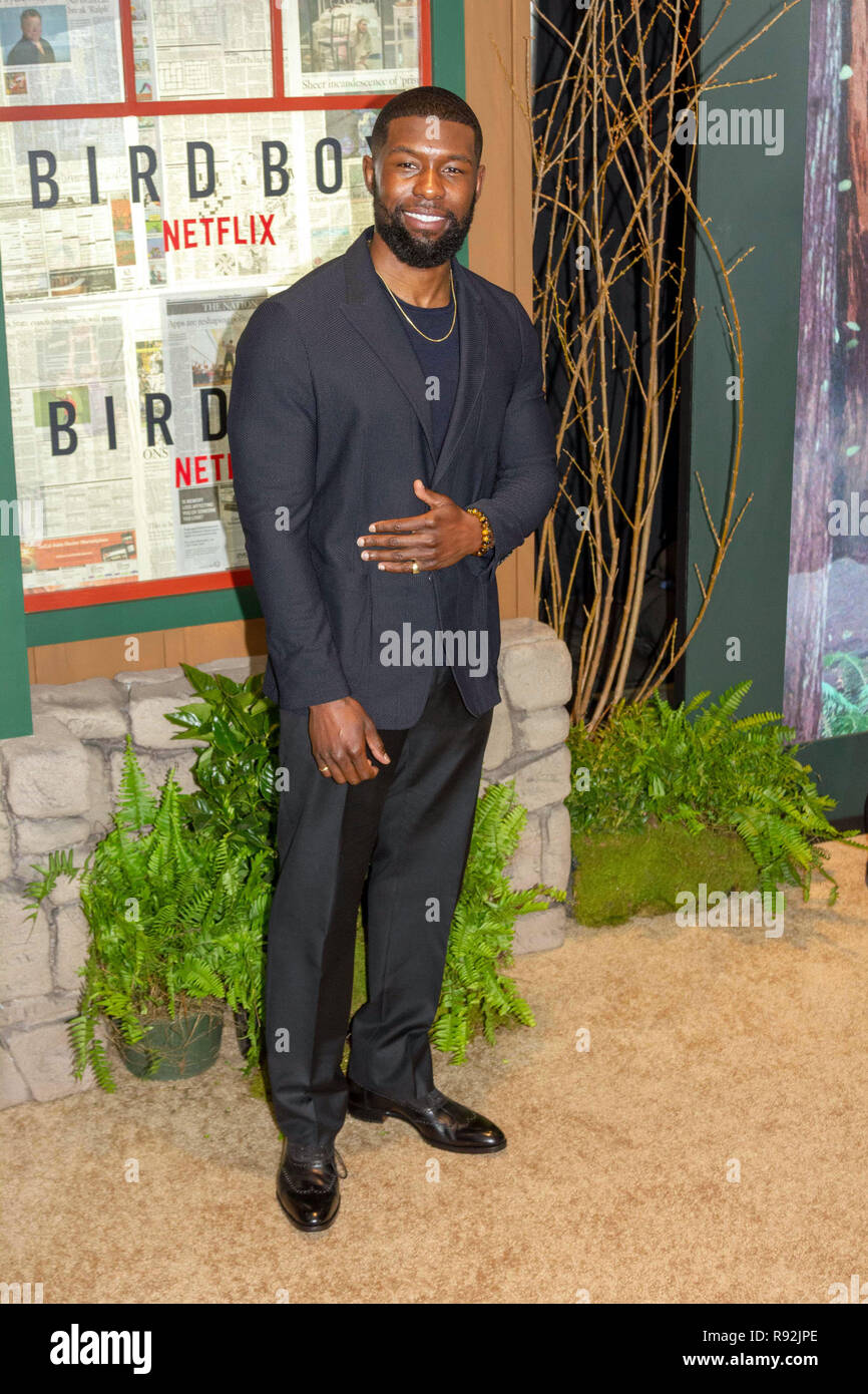 New York, USA. 17th Dec, 2018. Actor Trevante Rhodes attends the Netflix special screening of 'Bird Box' at Alice Tully Hall in New York City on December 17, 2018. Credit: Jeremy Burke/Alamy Live News Stock Photo