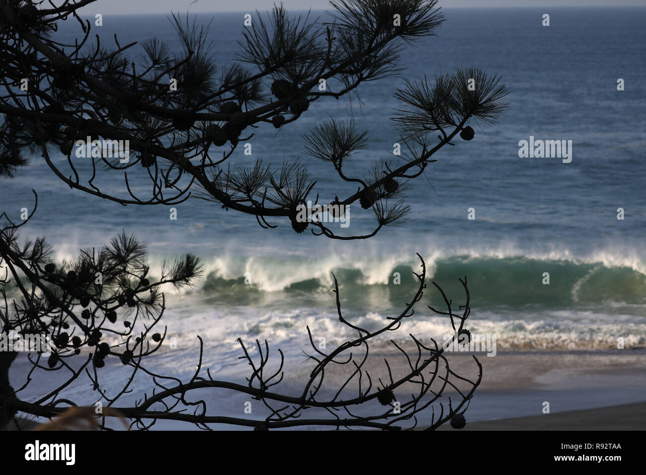 Laguna Beach, California, USA. 18th Dec, 2018. Waves crash on Aliso Creek beach after sunrise. A swell brings large waves and surf to southern California beaches. Credit: Ruaridh Stewart/ZUMA Wire/Alamy Live News Stock Photo