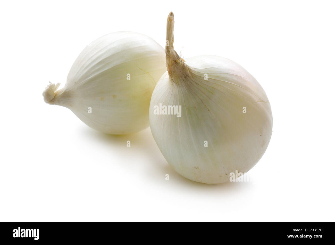 White onion bulbs isolated on white background. Stock Photo