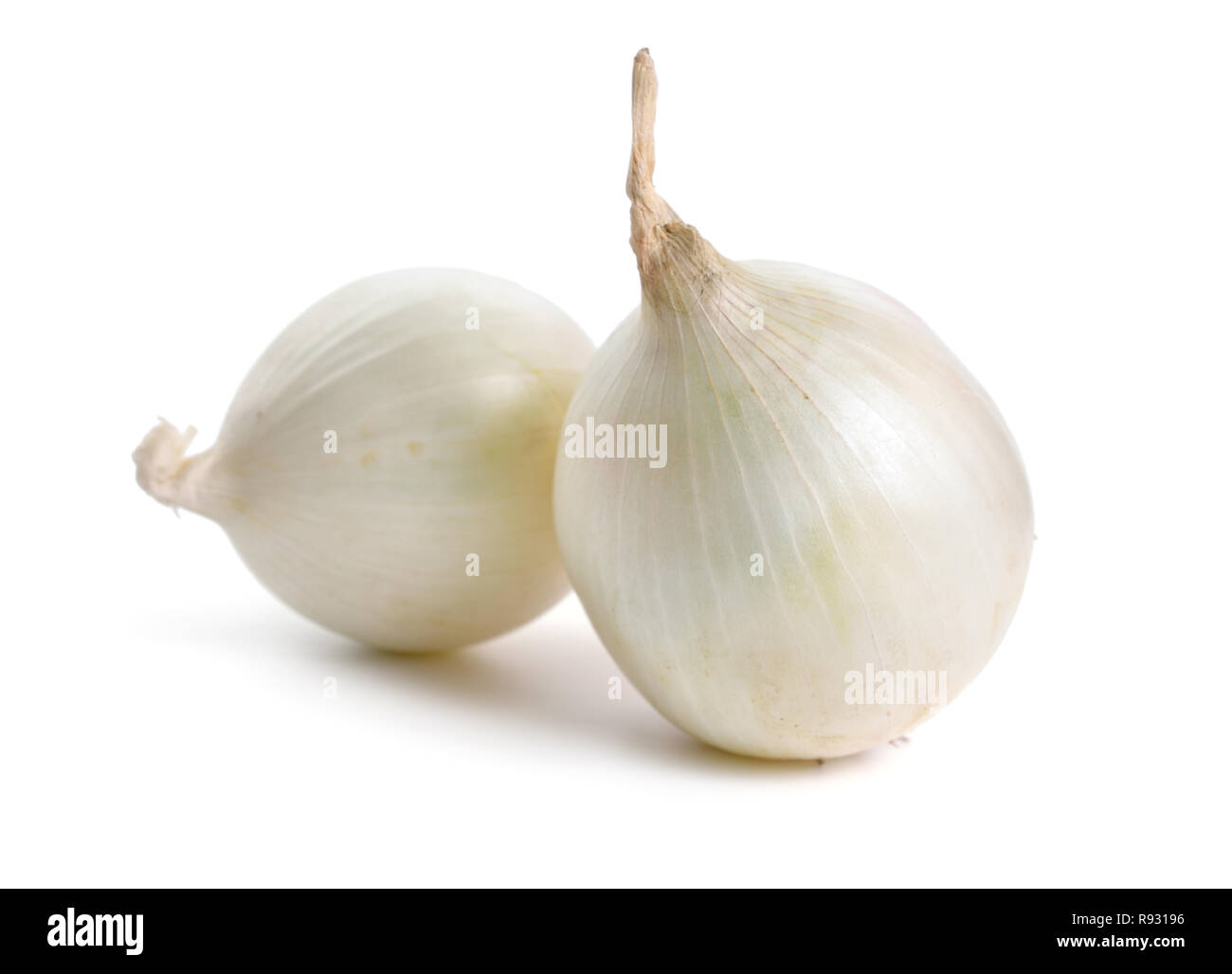 White onion bulbs isolated on white background. Stock Photo