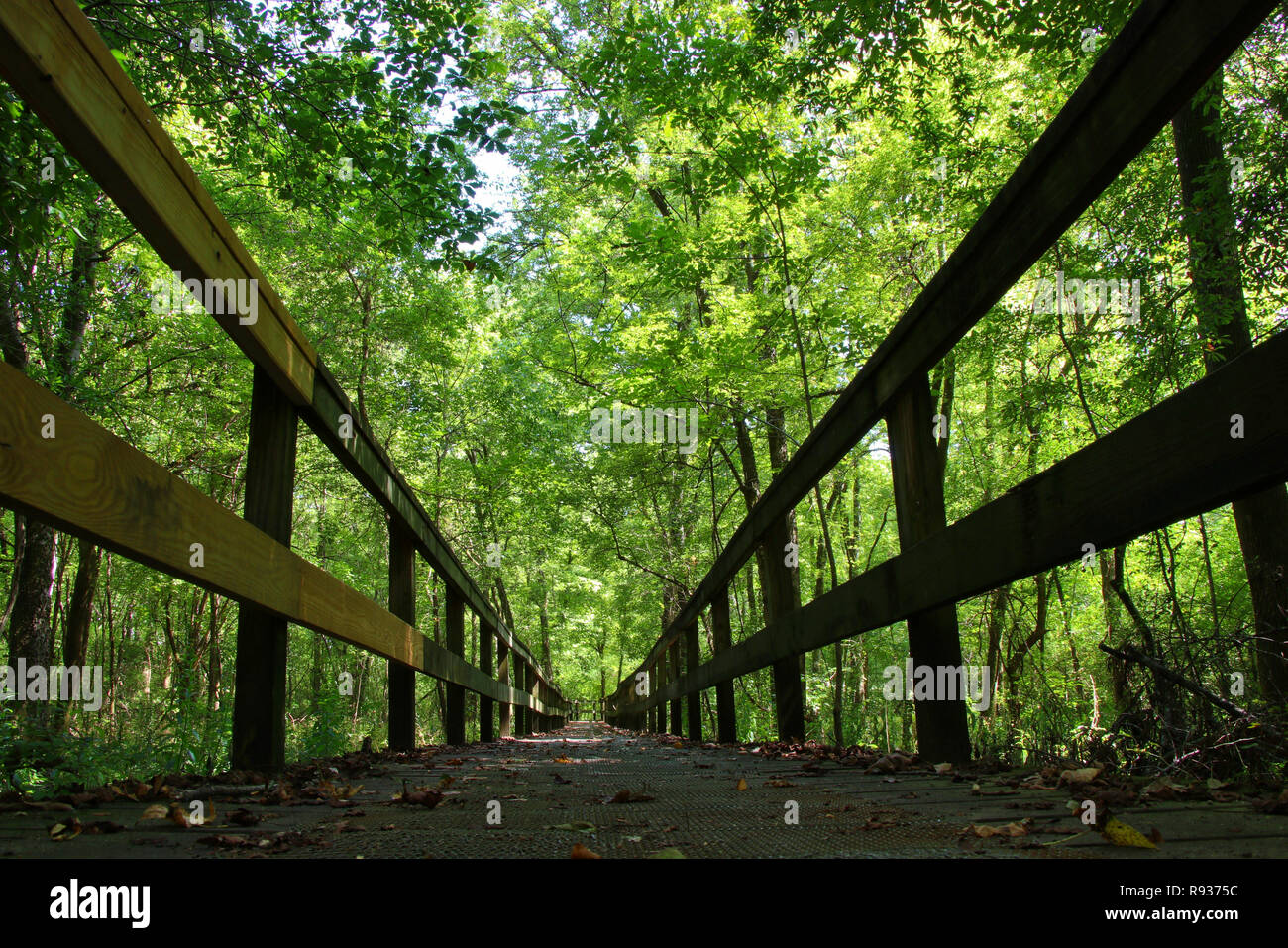 Trace natchez bridge hi-res stock photography and images - Alamy