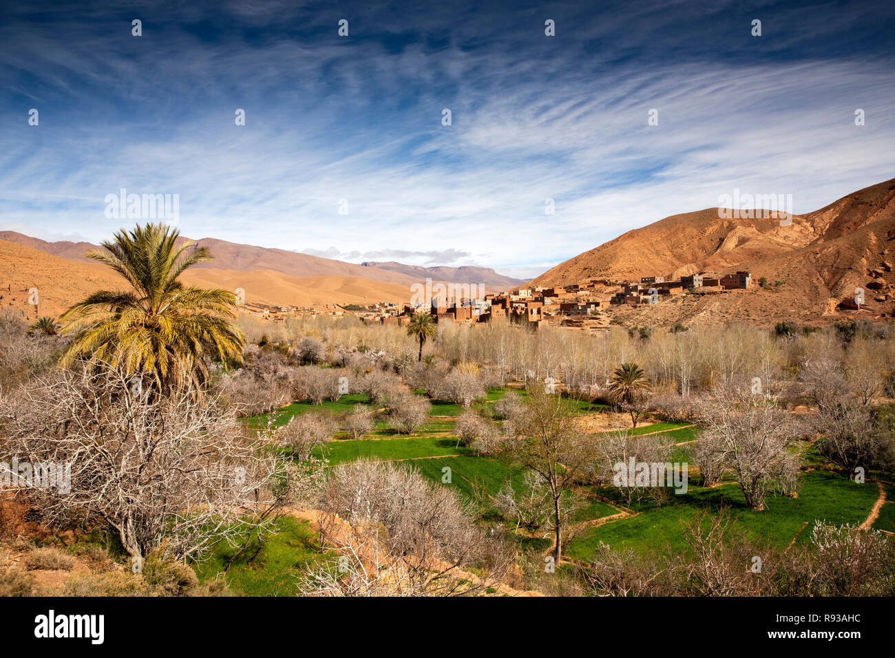 Morocco, Dades Gorge, Ait Ouglif village irrigated agricultural fields around historic settlement Stock Photo