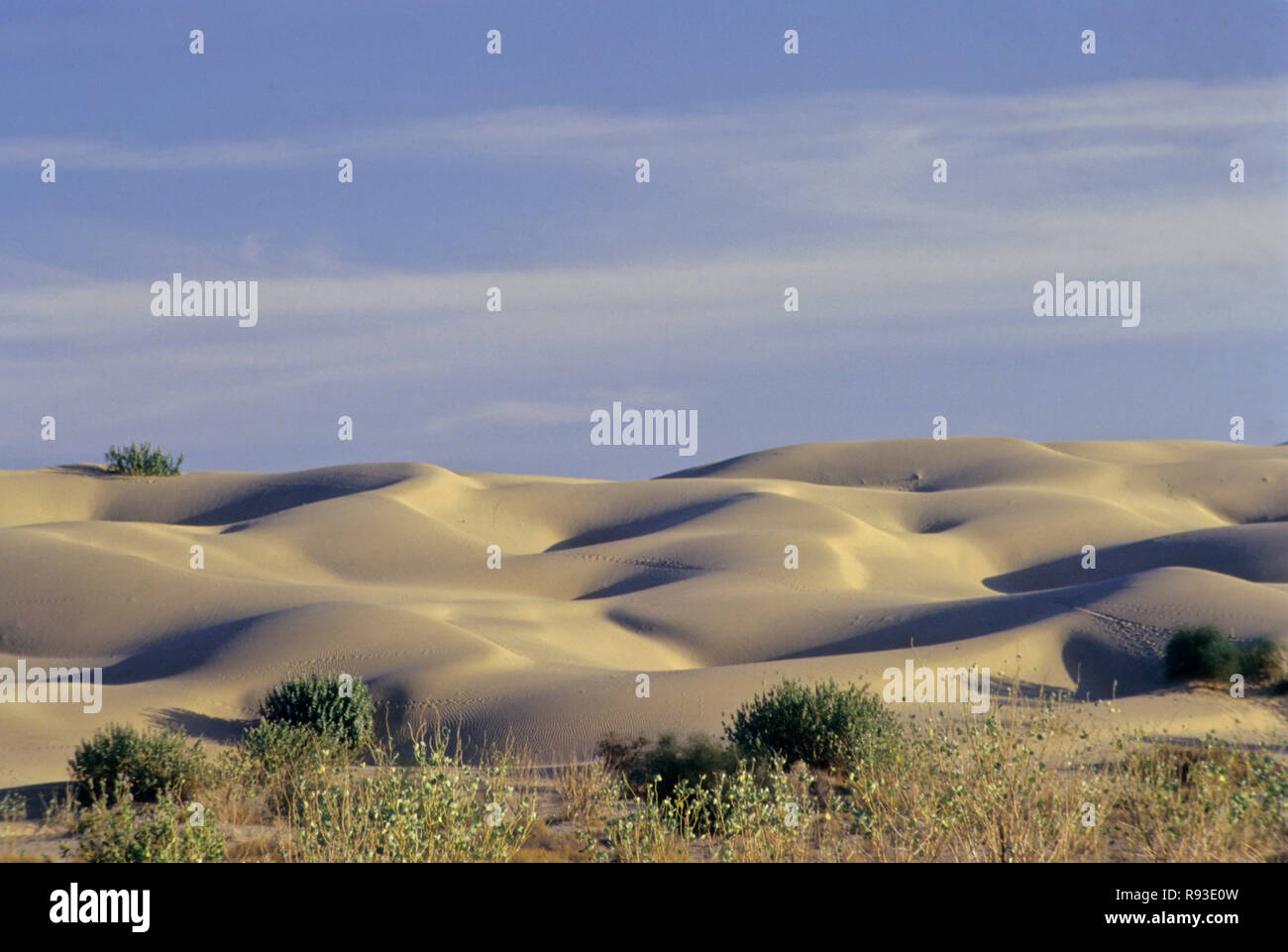 Sand, Dunes, Khuri, Jaisalmer, Rajasthan, India Stock Photo