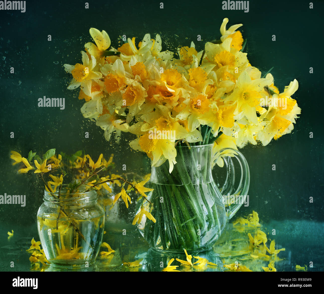 Still life with a bouquet of daffodils on a green background Stock ...