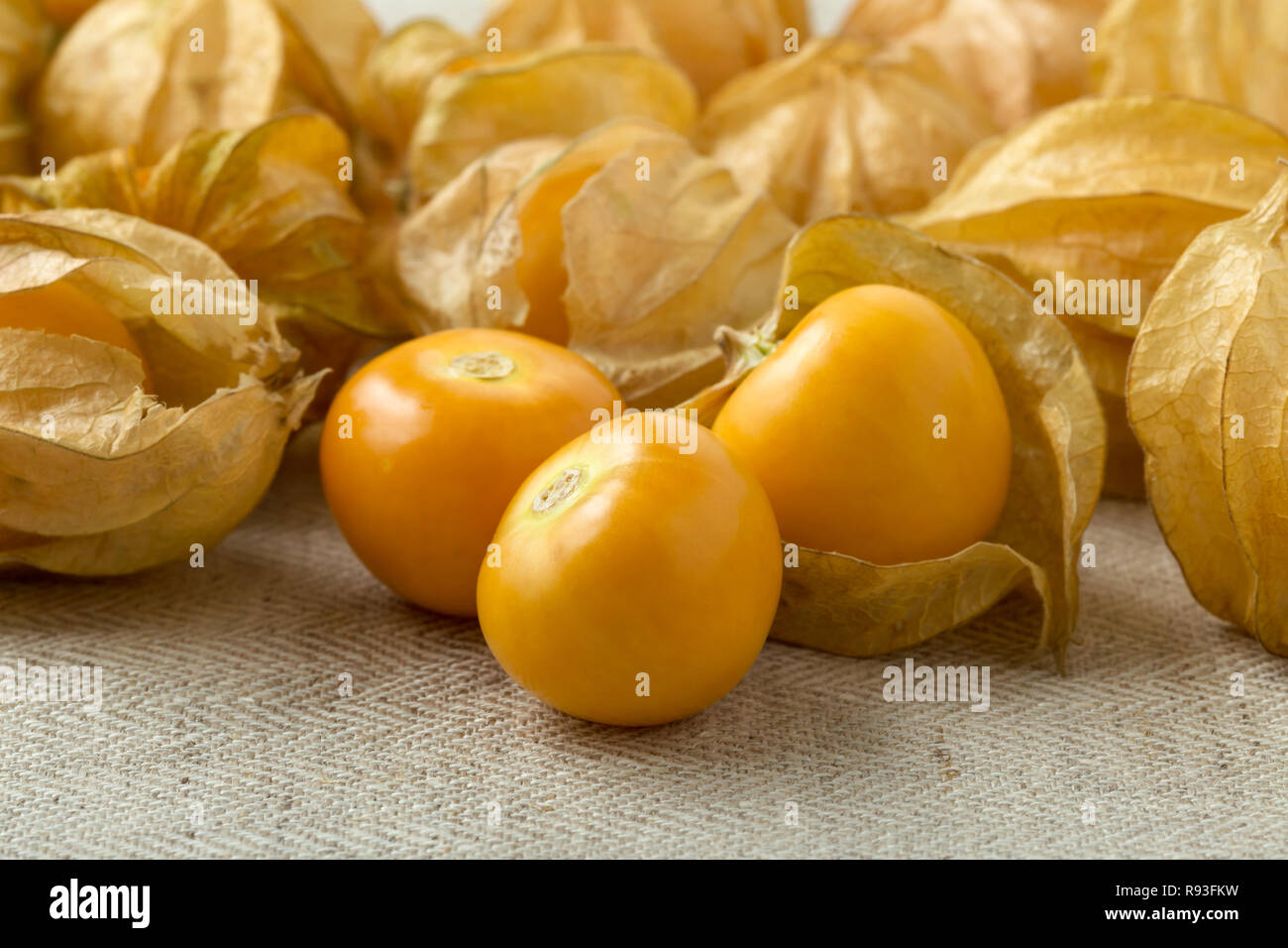 Chinese Lantern EDIBLE GOLDEN BERRY cherries physalis peruviana berries 25 SEEDS