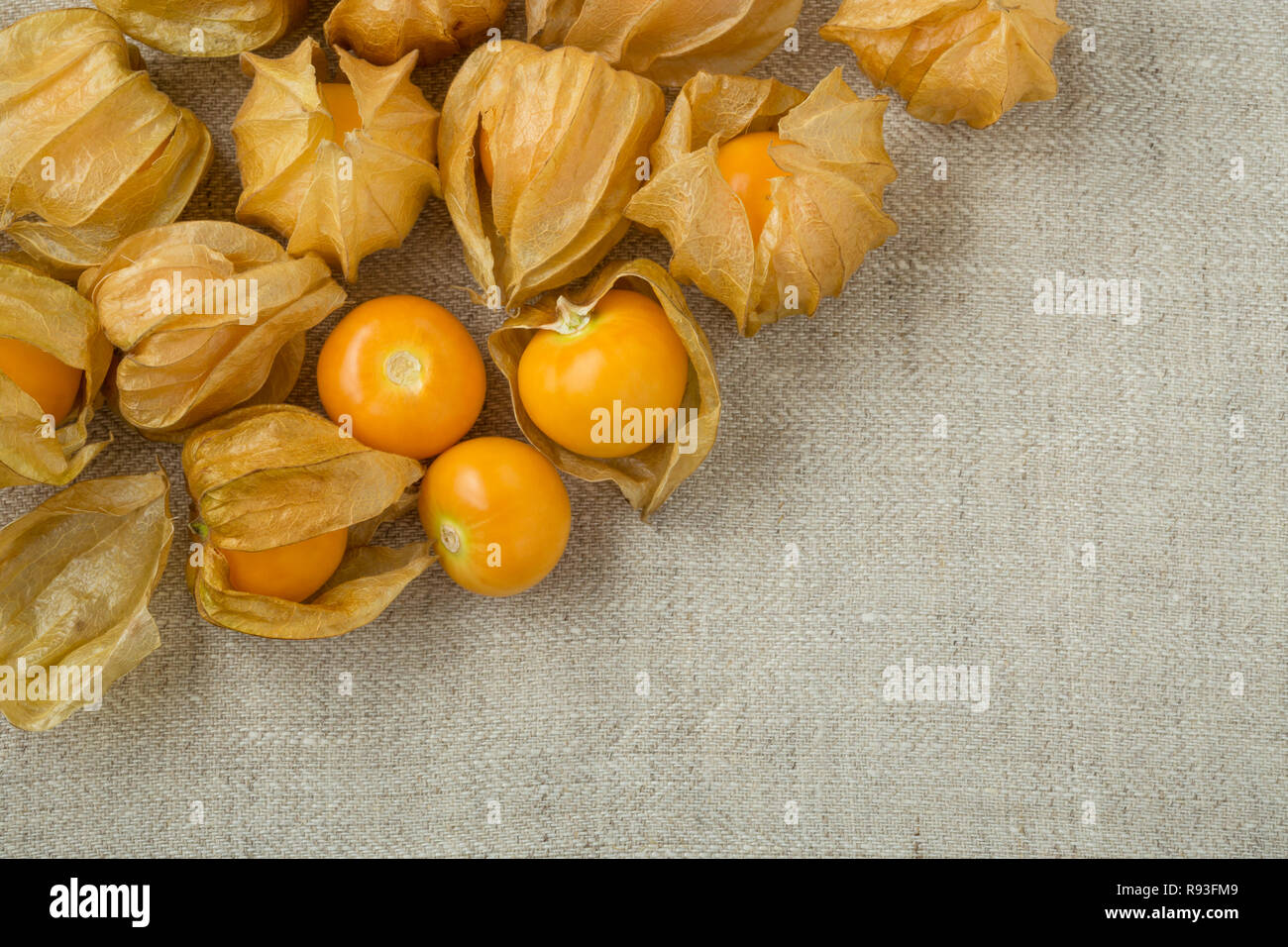 Chinese Lantern EDIBLE GOLDEN BERRY cherries physalis peruviana berries 25 SEEDS