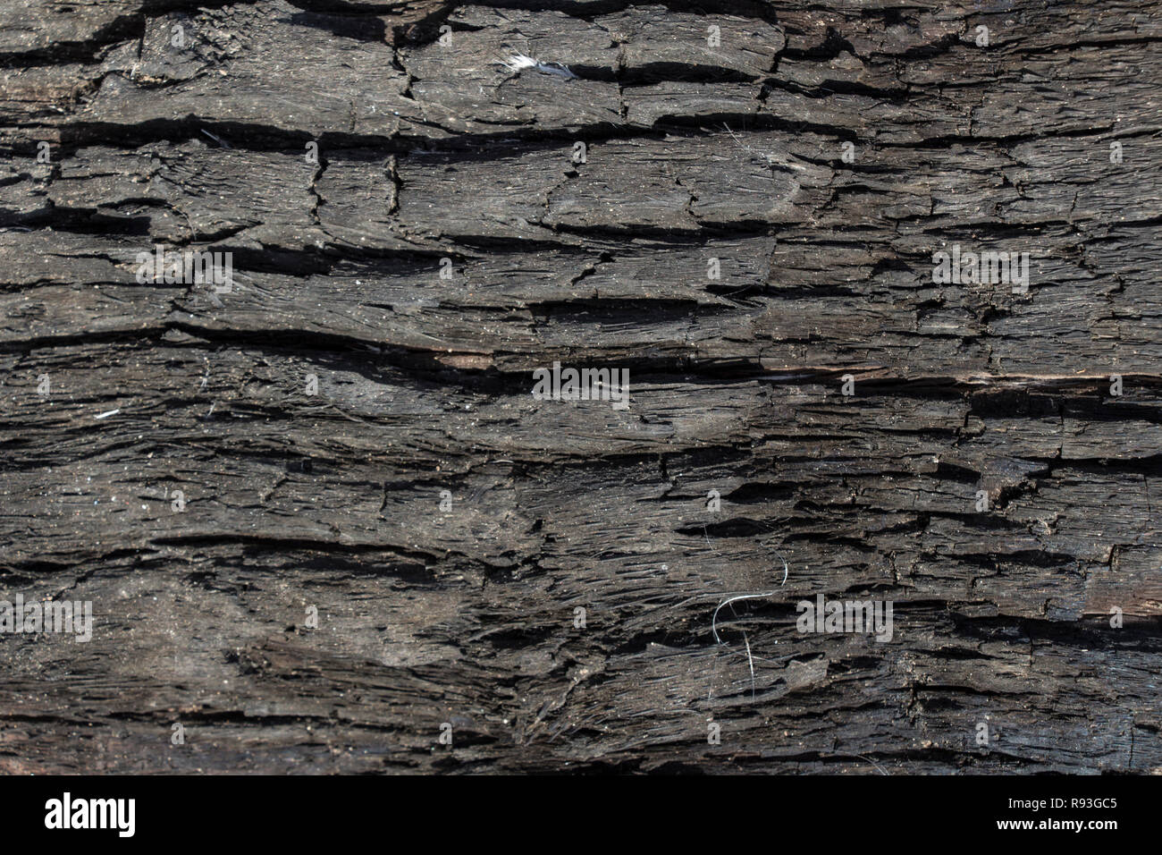 burned wood texture, black grunge background Stock Photo