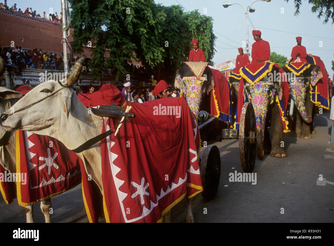 animals rally in teej festival, jaipur, rajasthan, india Stock Photo