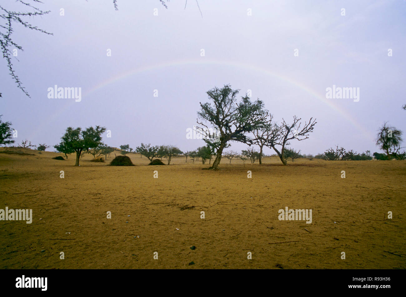 rainbow deserted film, sikar, rajasthan, india Stock Photo