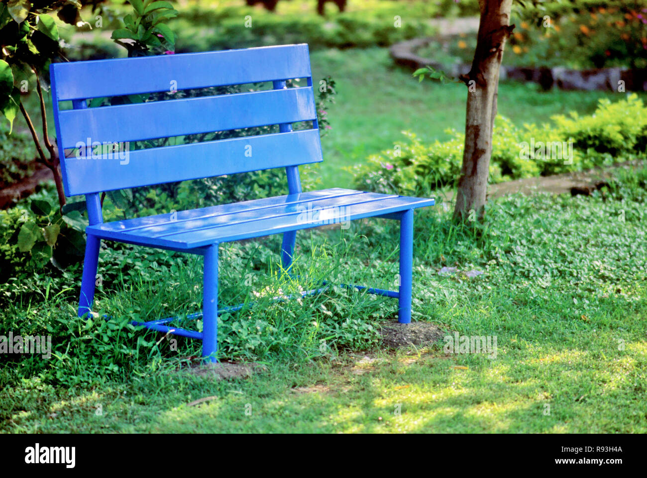 Blue wooden bench in garden Stock Photo
