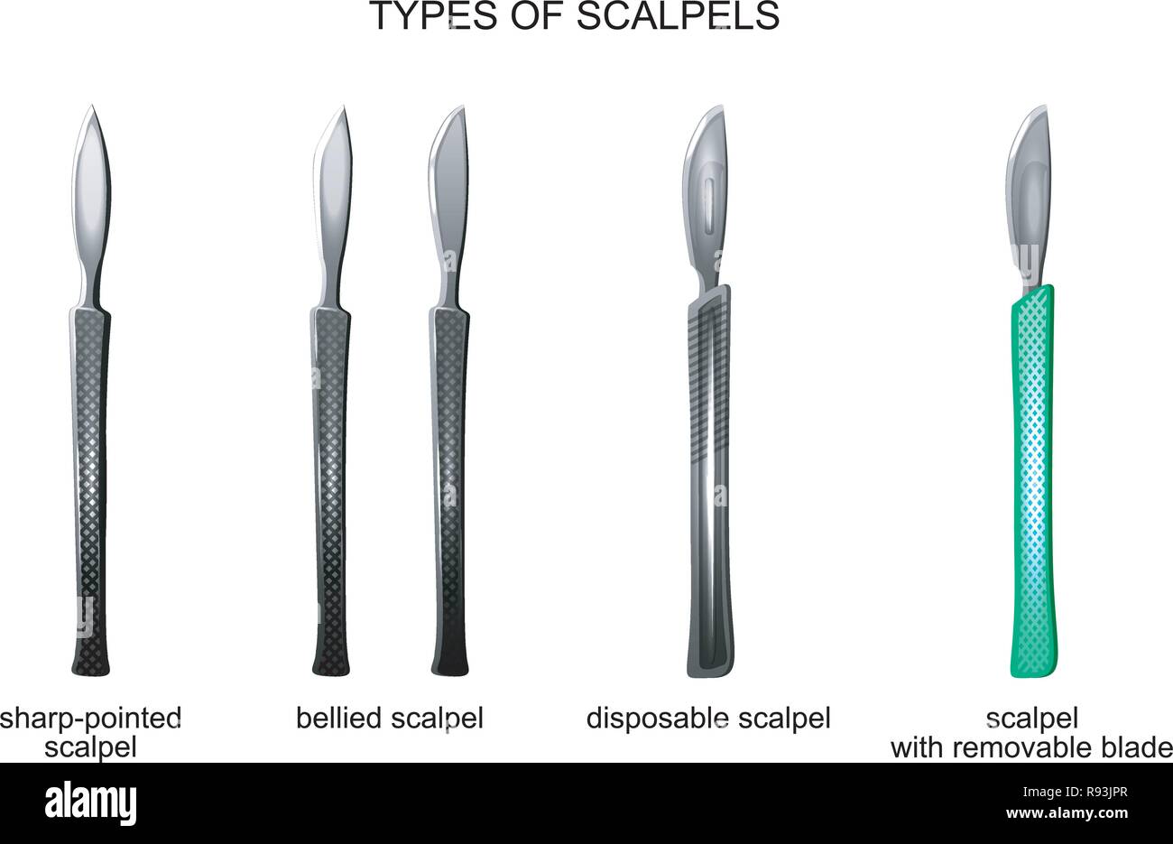 Vector Illustration Of The Types Of Surgical Scalpels Stock Vector 