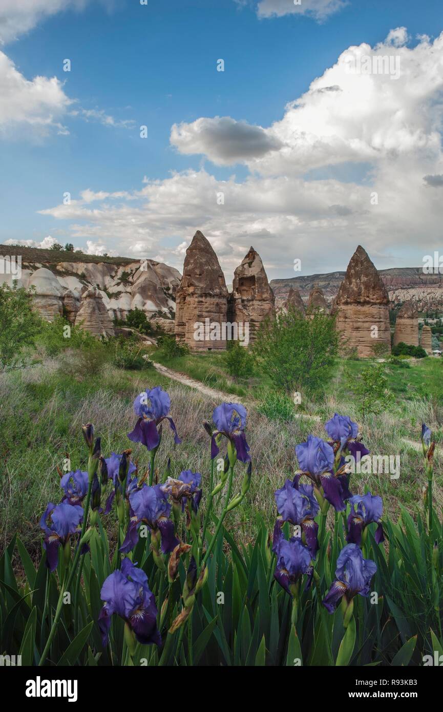 Rock formation, Fairy Chimneys, Uchisar, Göreme National Park, Unesco World Heritage Site, Cappadocia, Turkey Stock Photo