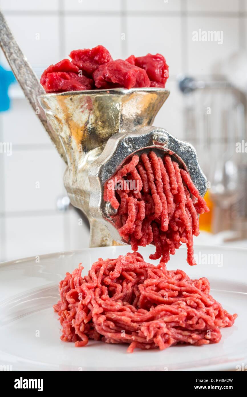 Meat-grinder, grinding fresh meat into minced meat Stock Photo