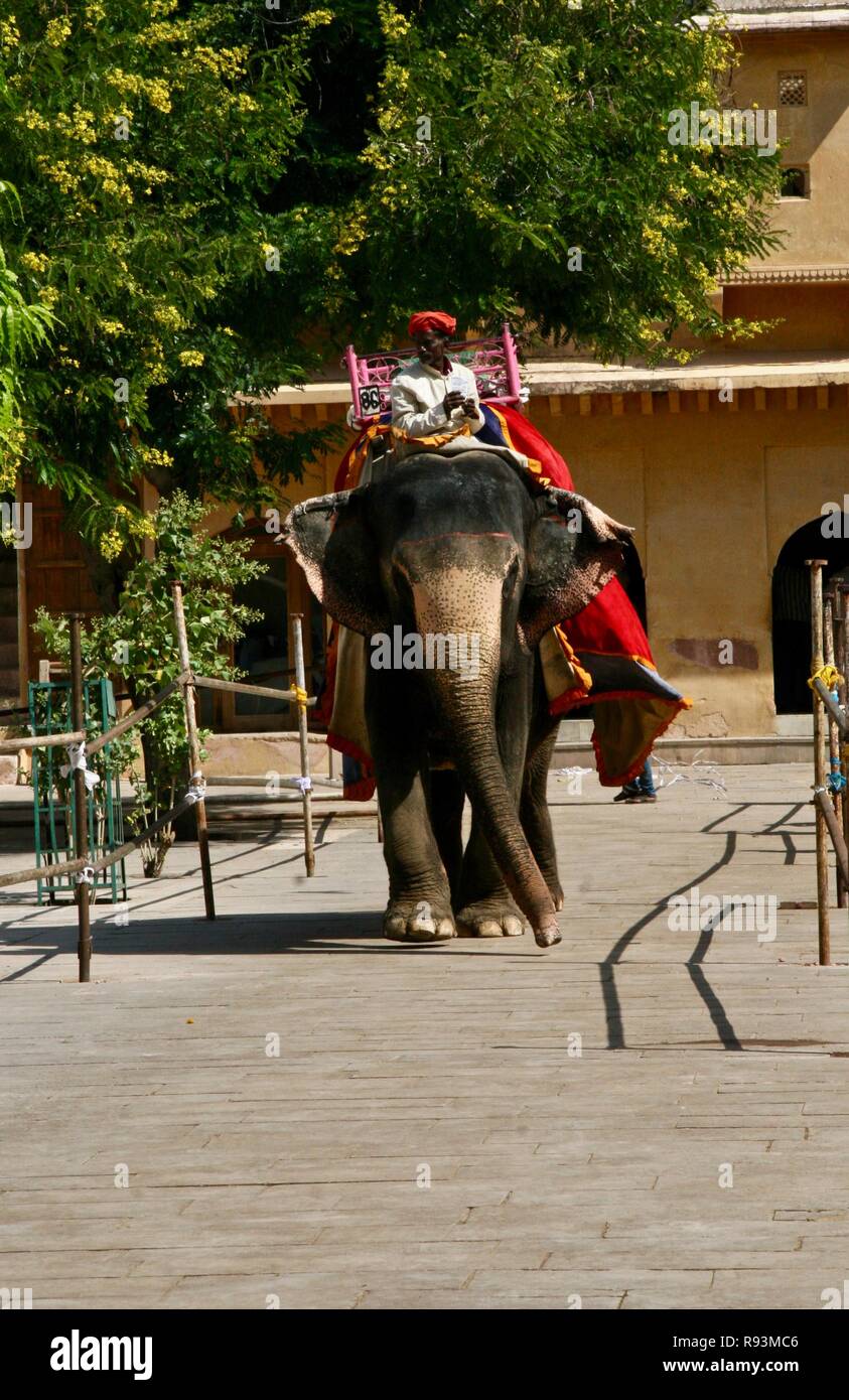 An elephant with his mahout offering tourists rides at a tourist ...