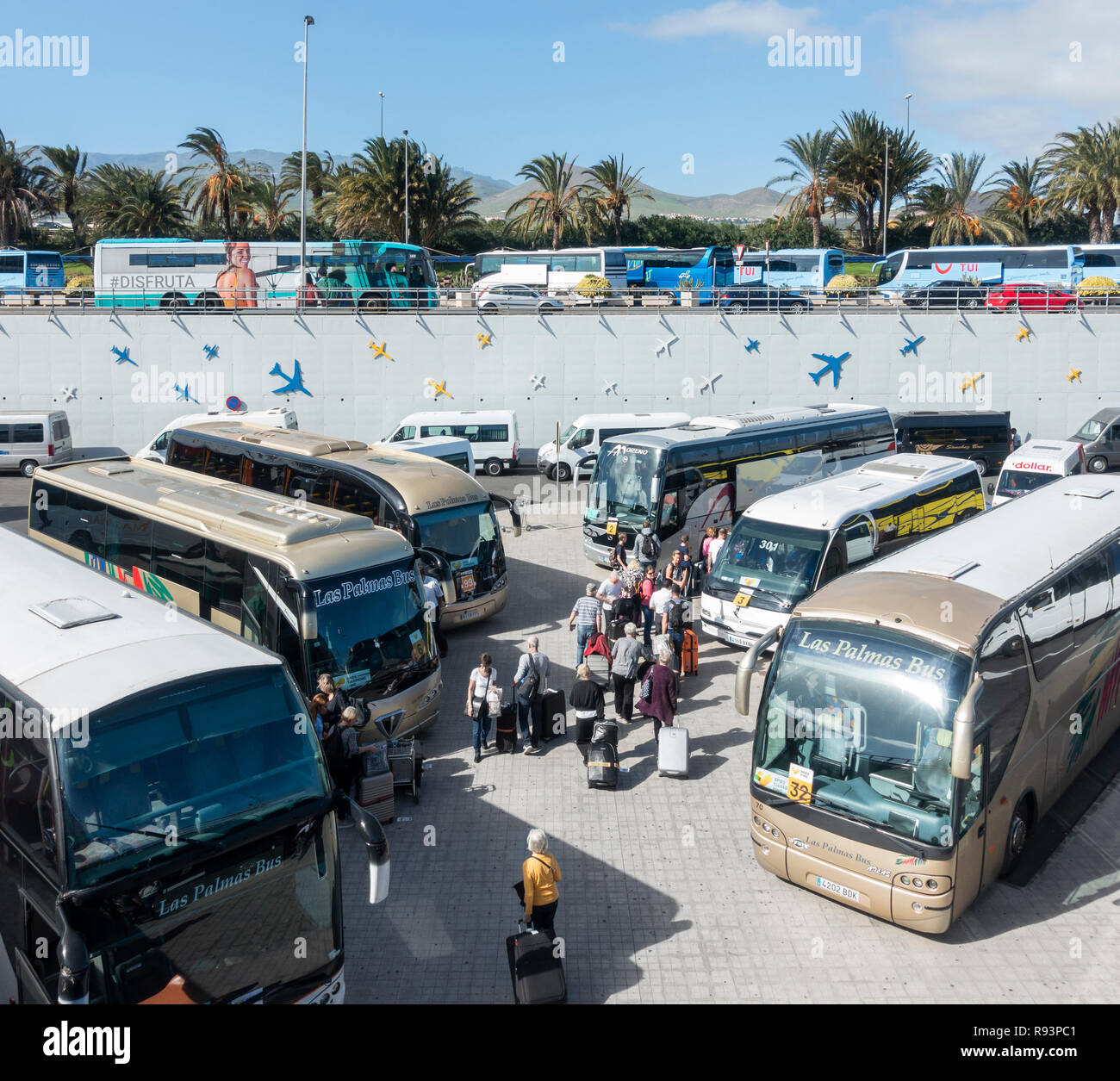 Airport transfer coaches at Gran Canaria airport, Canary Islands, Spain  Stock Photo - Alamy